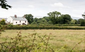 a large white house is nestled in a field with trees and bushes surrounding it at Stanley Lodge Farmhouse