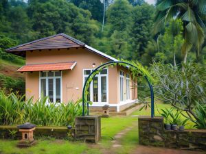 After the Rains - Rainforest Lodge