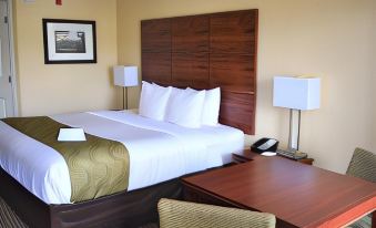 Quality Inn Scottsboro US/72-Lake Guntersville Area