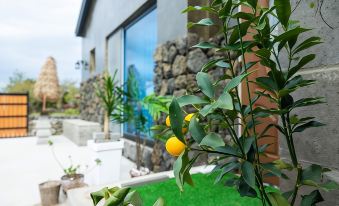 Jeju Narangha