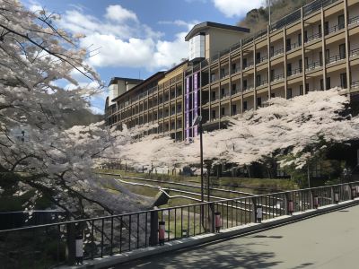 ホテル周辺 箱根湯本温泉 天成園の写真