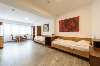 Wels Inn Hotel - 3-Star