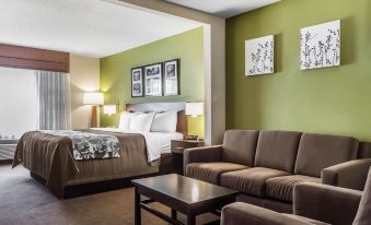 Sleep Inn & Suites Dothan North