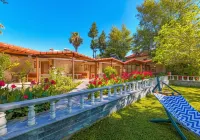 Likya Adrasan Hotels in Adrasan