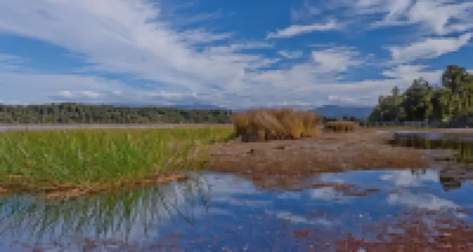 252海濱汽車旅館和假日公園酒店 霍基蒂卡酒店