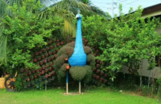 MaClare Resort