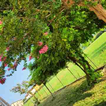 Lavanda House Hotel Exterior