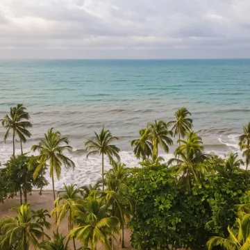 Coconuco Beach Palomino