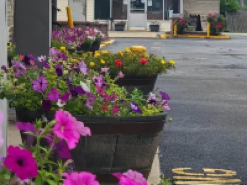 โรงแรมรอยัล รีแล็กซ์ อินน์ โรงแรมในSt. Clair County