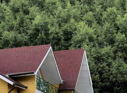 Larch Boutique Hotel