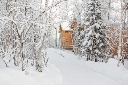 Hotel Arctic Home Отели в г. Кольский район