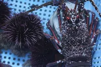 Himakajima Minshuku Kotoei