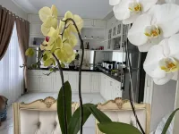 Villa Ghania Ciwidey Bandung