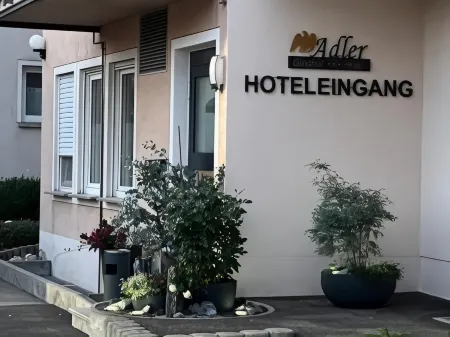 Gasthof Adler Inneringen Отели в г. Биц