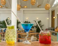 Biosphere Beach - bars