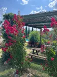 B&B Il Pettirosso di Siena - Huvilat