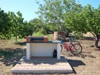 TRE NOCI HOUSE: near the sea Hotels in Lascari