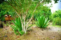 BAYLEAF: The Perfect Hideaway near secluded beach のホテル