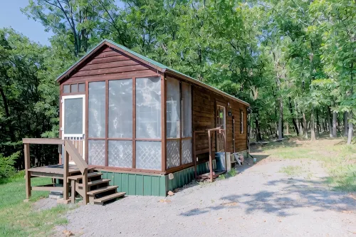 Tiny house in the woods. Pet-Friendly! - 3-Star