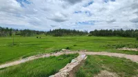 Teeny Home in the Black Hills! - Hytter