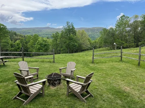 Historic Cabin in the Blue Ridge Mountains - Homestays
