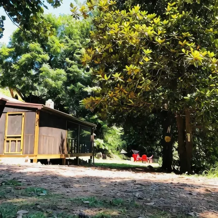 CABIN AT THE COVE at Watauga Lake!