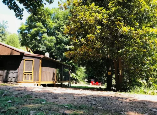 CABIN AT THE COVE at Watauga Lake!
