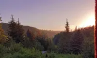 Talblick 2 - Your home: the vacation home in the middle of the idyllic valley - Homestays
