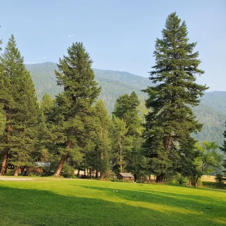 Teton Cabin- Columbia Mountain Ranch