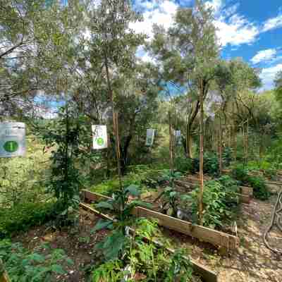 Family Apartment on the Salerno Hills • Free Parking • Relax Hotel Exterior
