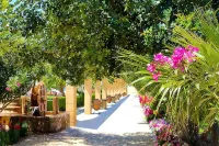 Alexius Pool Apartments - parking