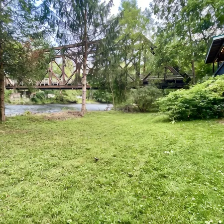 Waterfront Cabin Walkable to Everything!