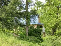 Charming 1920s Hillside Home Overlooking Valley and Rails-To-Trails - Homestays