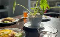 Robiu Bed & Breakfast - breakfast