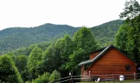 Deer Country Vacation Cabins #3 - Long Range View, Dogs Friendly
