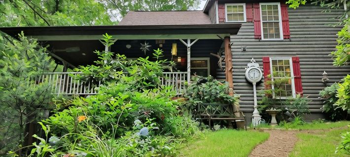 'BEARADISE CHALET' UNIQUE Secluded Retreat Estate (WHO'LD GUESS IT'S IN TOWN Hotels in Lumpkin County