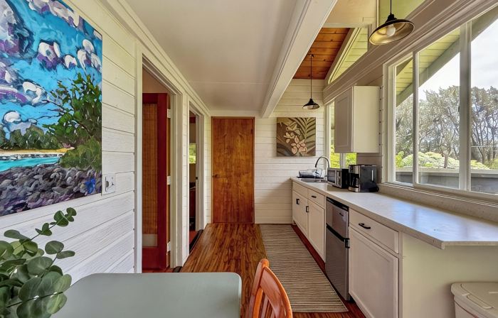 Sun kissed 1-bedroom apartment minutes from Hawi.