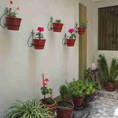 Histórico: 1-Bedroom Apartment in San Blas Market Area. Independent Living Room! Hotel Exterior