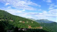 Kasauli Windsor Resorts - Boutique