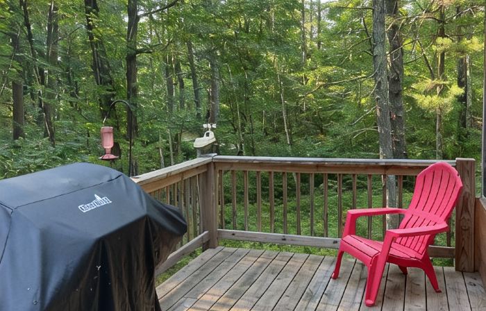 Quiet Sports Oasis-Wooded & Private