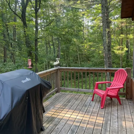 Quiet Sports Oasis-Wooded & Private
