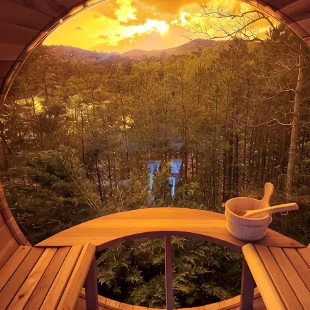 Lake Nottely 4 Bdrm Cabin,  Game Rm, Sauna, Mtn & Lake Views, Dock, EV Charger.