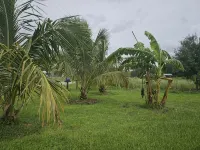 Charming 3-bedroom house with AC and WiFi in lovely Sebring - WiFi