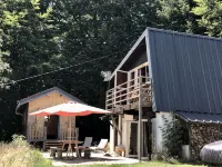 Charming chalet in the Forez mountains - Chalets