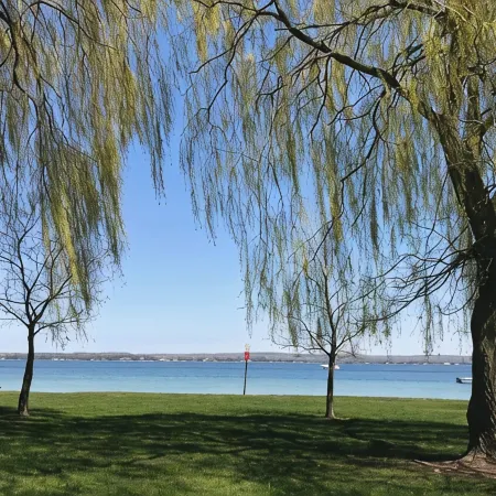 Lake Charlevoix Lakeview Escape