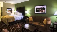 Comfort Inn & Suites - Lemmikkieläimet sallittu