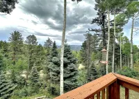 Mountainside Chalet with Views! Private 2 Acres. 4Beds, 3 Baths 2 Master Suites. - Feriehus
