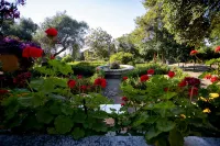 Villa Fontana with Private Pool and Ancient Botanical Park - Pools