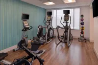 Holiday Inn Express & Suites INDIANAPOLIS DTN-CONV CTR AREA by IHG - Gym