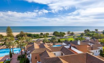 a view of a beach and ocean from a balcony with palm trees in the foreground at Barcelo Isla Canela Hotel